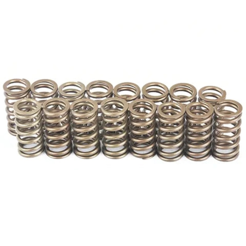 Ferrea Endurance Dual Spring Kit | Lotus Elise/Exige 1.8L (KT4030)