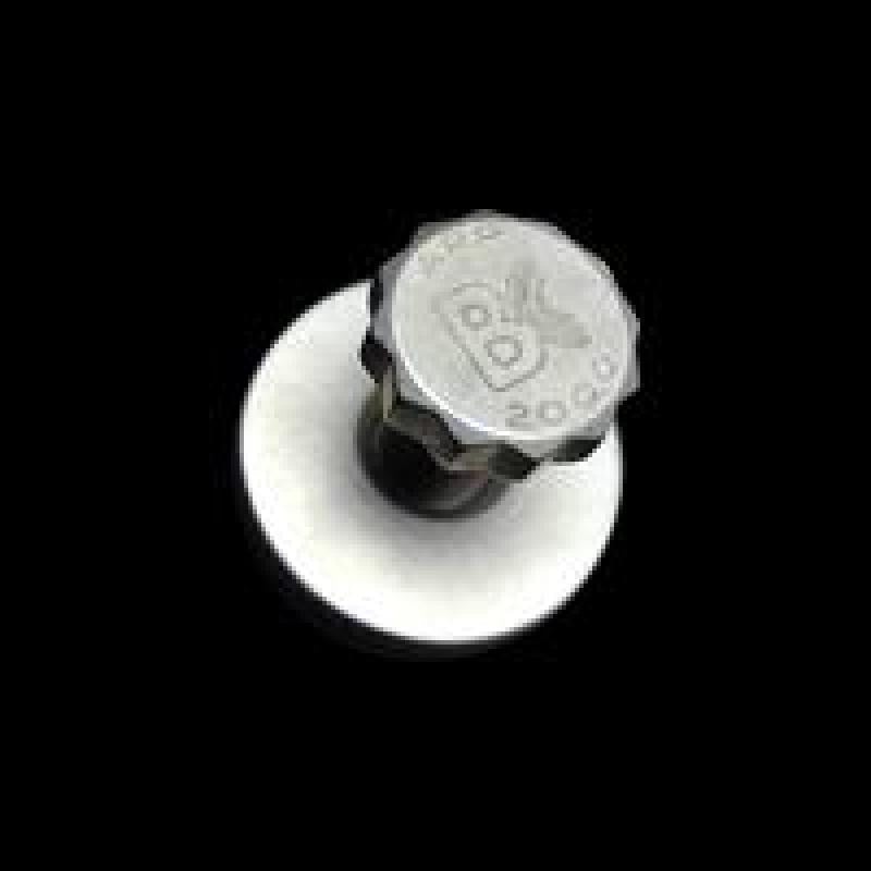 Brian Crower Cam Gear Bolt w/ Washer | 1993 - 1998 Toyota Supra (BC8890)