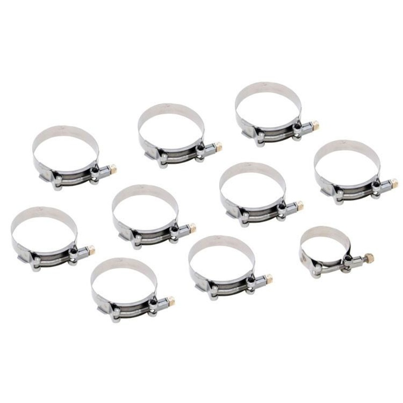 AEM Hose Clamp Kit (23-201)